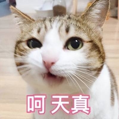 前L星空体育APPOL职业选手“下海”卖片看的网友滋滋流鼻血……(图3)